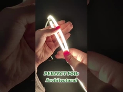 0808 ไฟเนออน LED