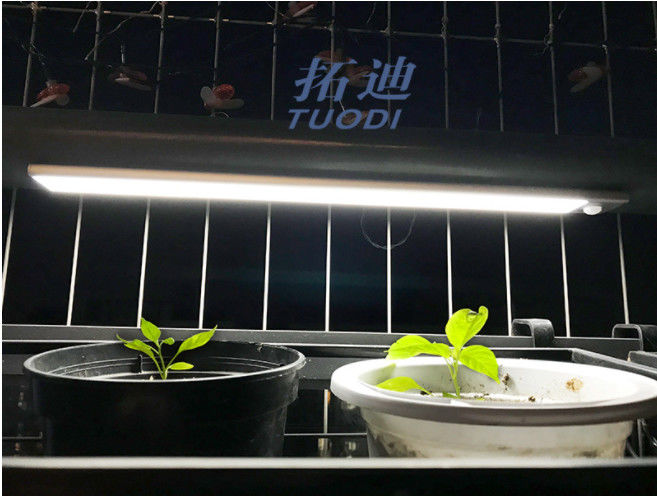 ไฟตู้เซ็นเซอร์เคลื่อนไหว LED แบบยืดหยุ่นแบบชาร์จ USB แบบไร้สายภายใต้แสงเคาน์เตอร์ตู้เสื้อผ้า
